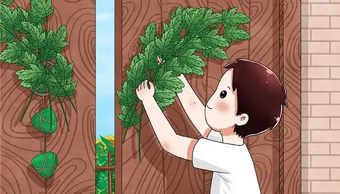 二,端午节挂艾草的原因是什么
