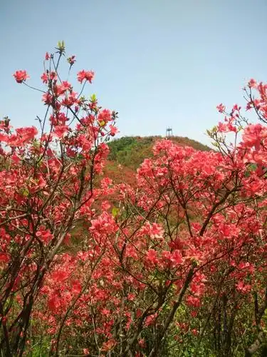 广寒寨四八门风景