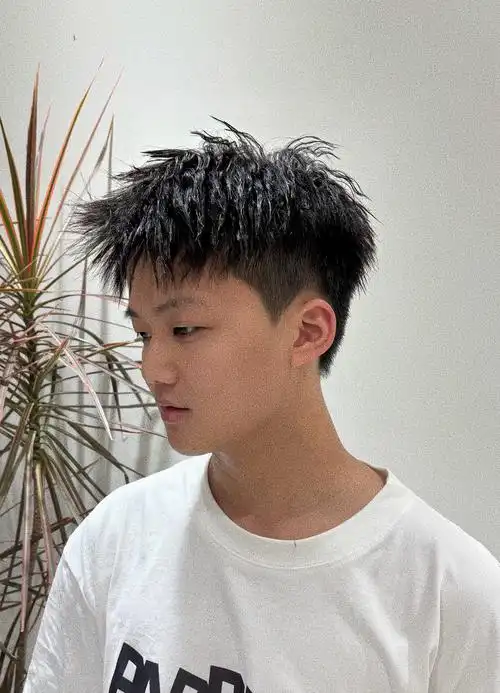 锡纸烫男士个性发型