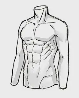 成都水彩之翼教你上半身肌肉的画法教程