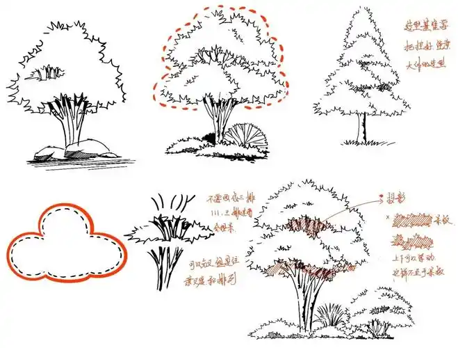 线稿树,分享贴#艺术考研  #线稿  #风景园林 #手绘 #快题设计  #写生