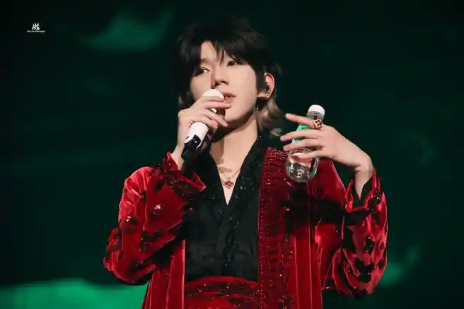 王源演唱会氛围