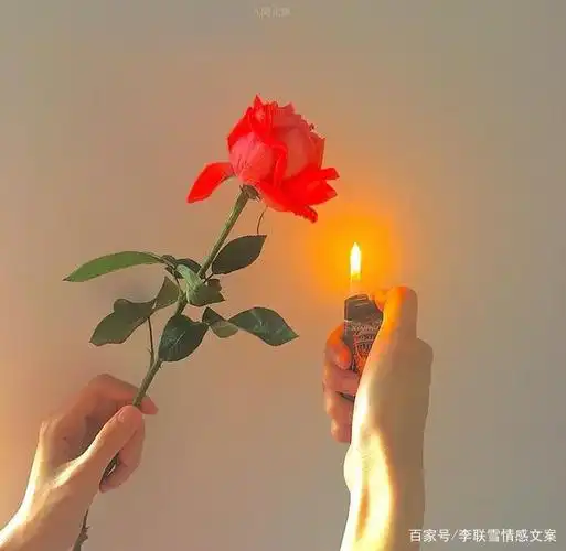 可以配照片发的温柔文案,唯美干净,一见倾心