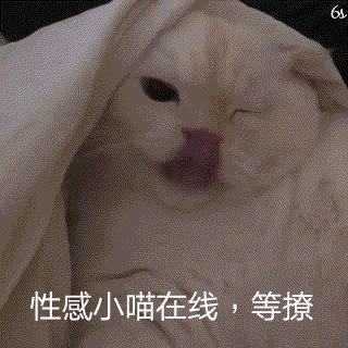 斗图表情包:做猪呢最主要的是开心