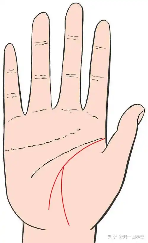 生命线末端分叉,两条支线弧形优美