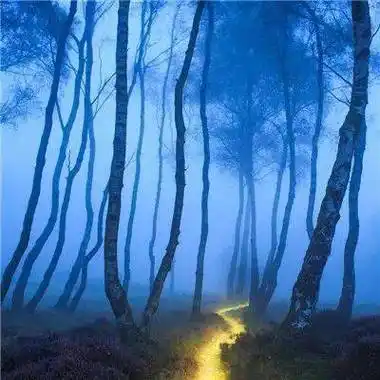 中老年头像大全成熟男人微信头像风景大全