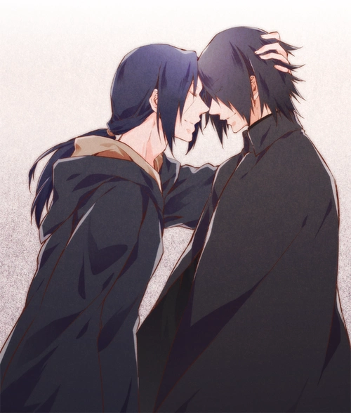 佐鼬- 堆糖,美图壁纸兴趣社区