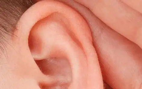 耳道|棉签|外耳道|分泌物_网易订阅