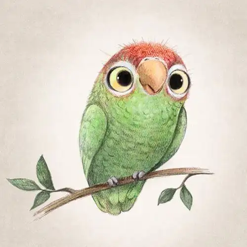 萌萌的手绘小动物-堆糖,美好生活研究所