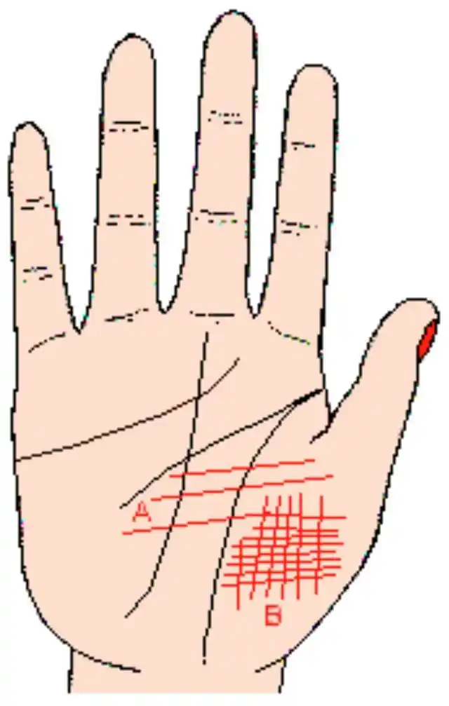 秒懂手相:从金星丘看健康状况