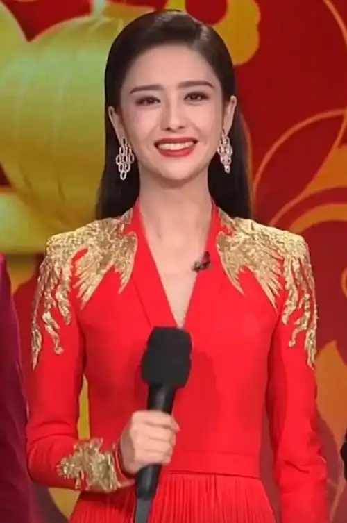 将自己的事业越做越好,还成为了央视春晚的主持人.