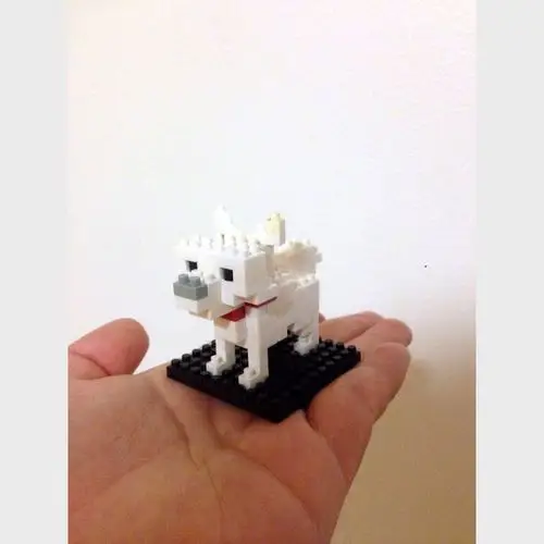 nanoblock----世界最小级平装积木