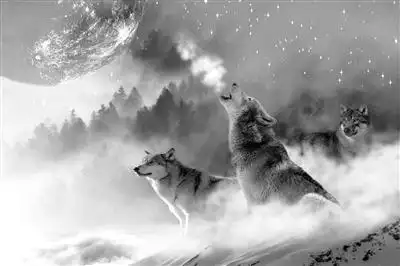 《狼图腾》中,狼群在狼王的带领下猎杀了大量的黄羊,它们把这些或羊