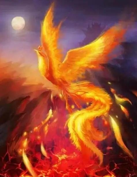 今日心得感悟正能量