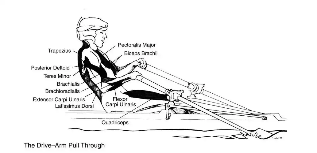 如何选购?麦瑞克划船机开箱实测