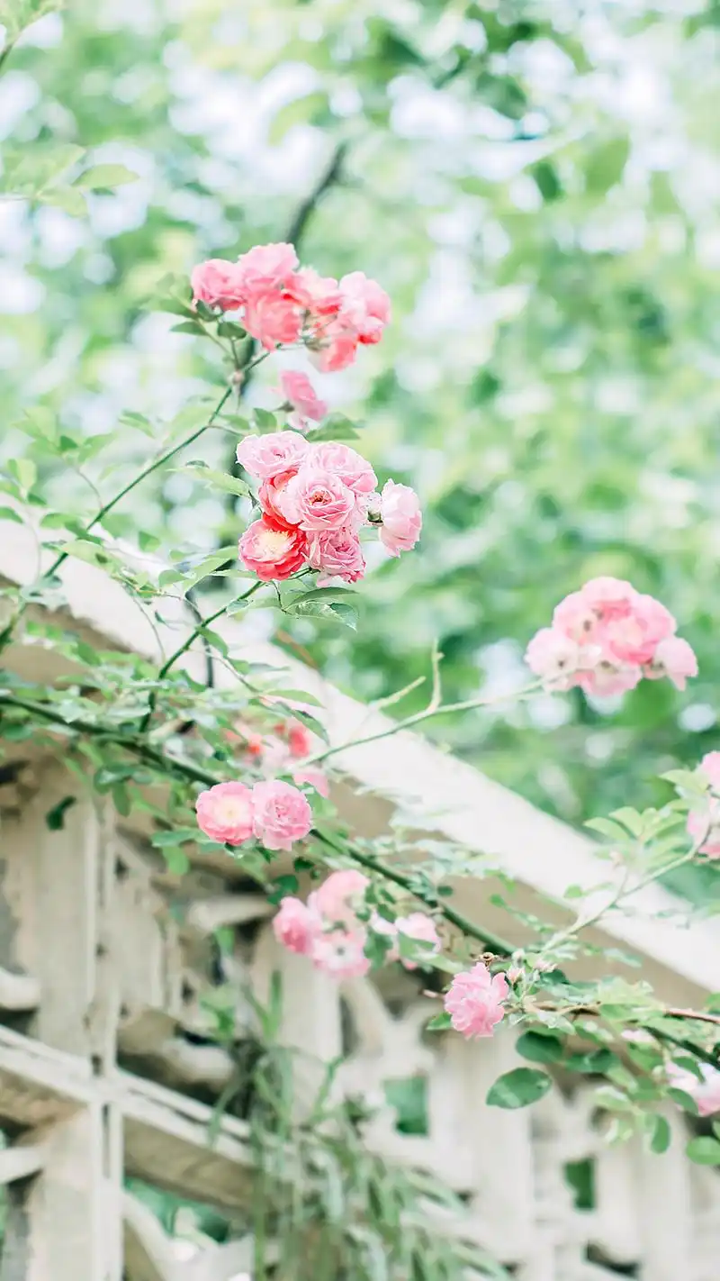 1080_1920竖版 竖屏