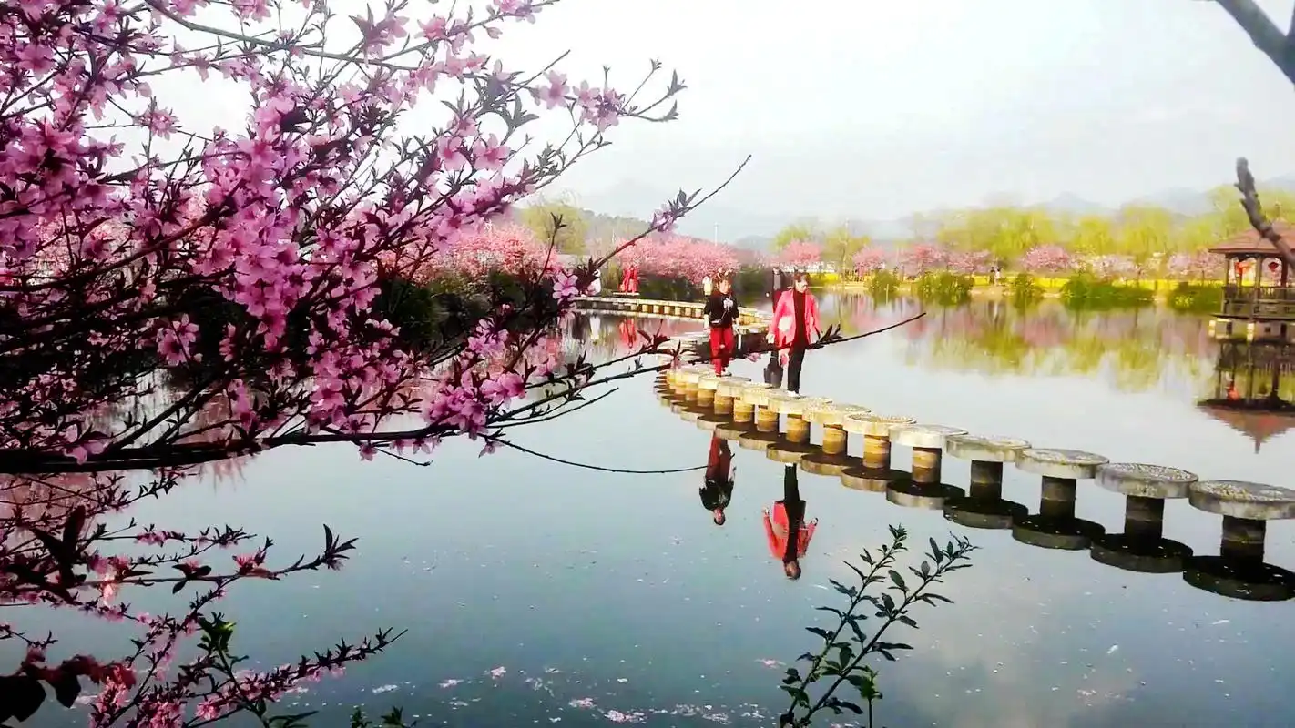 夹岸桃花蘸水开,犹有桃花流水上