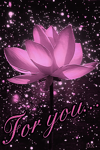 移动设备 屏保 for you 分享 举报 非索要文件 成人文件内容 重复