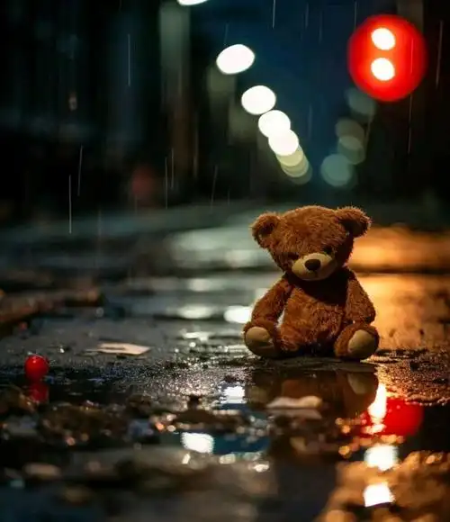 夜晚,静听风雨,电闪雷鸣,落花无数,风寒雨凉,是天空在哭泣,还是落花在