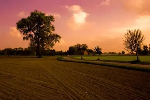 在日落高清壁纸期间的棕色车行道照片