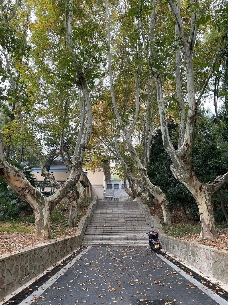 南师大半日游 南京·南京师范大学(随园校区)