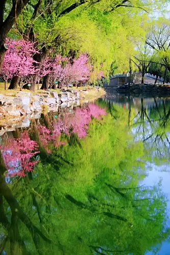 颐和园春景2020