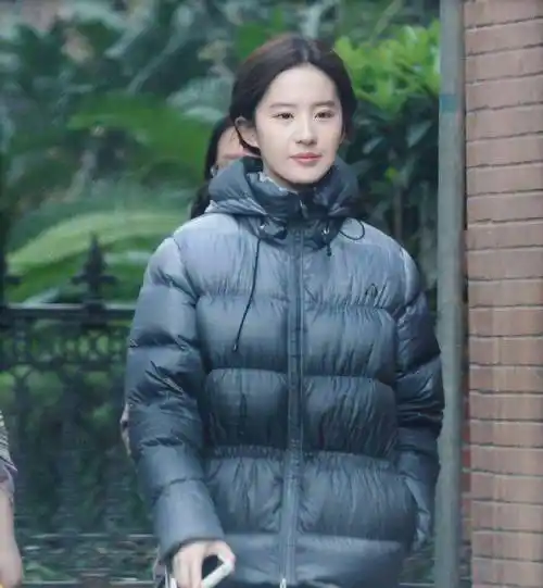 刘亦菲素颜试镜花木兰视频曝光,颜值再惹争执,网友真的很一般_状态