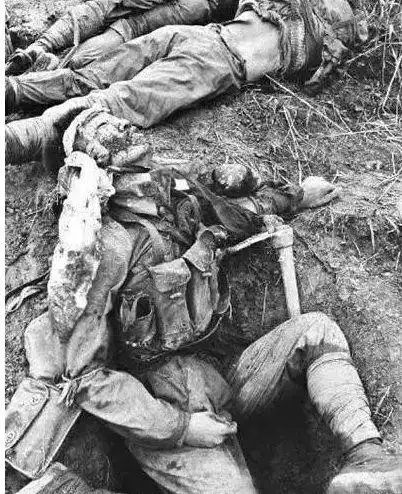 对越自卫反击战40周年