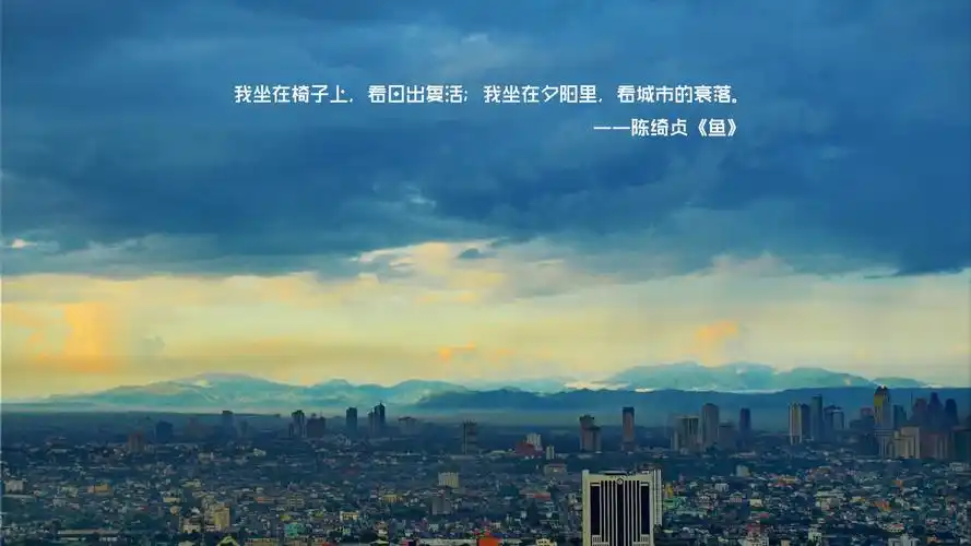 文字陈绮贞鱼经典歌词文字控壁纸