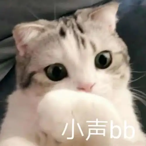 萌宠gif猫星人gif小声bbgif嘘gif呆萌gif可爱gif