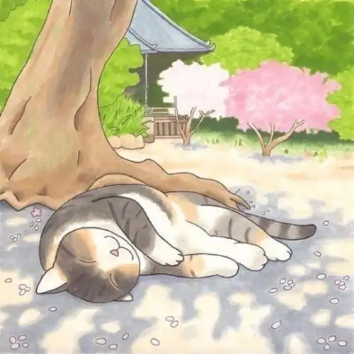 简单而走心的图片头像 高清好看独一无二唯美的图片头像_微信头像_头