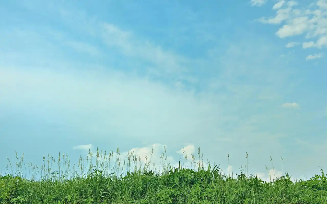 清新简约唯美高清自然风景桌面壁纸高清大图预览1920x1080_风景壁纸