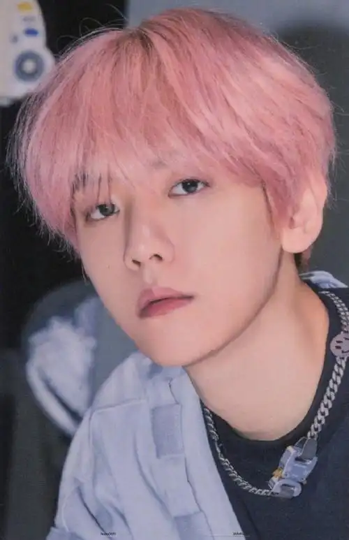 边伯贤啵期而遇