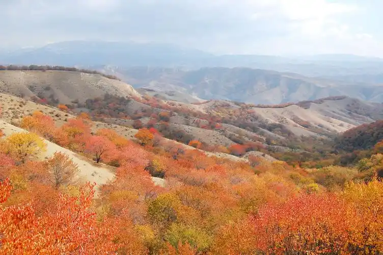 伊犁大西沟福寿山秋色