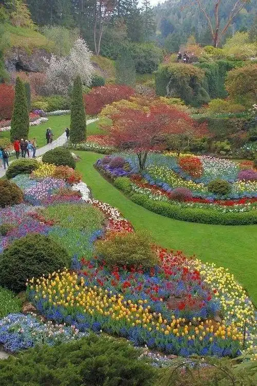 最美花园,花开成海了!太漂亮了