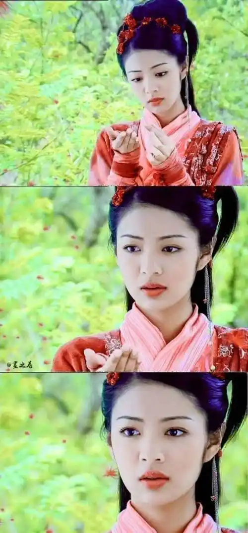 刘亦菲等人主演的《仙剑奇侠传》,当时安以轩在剧中饰演英姿飒爽又