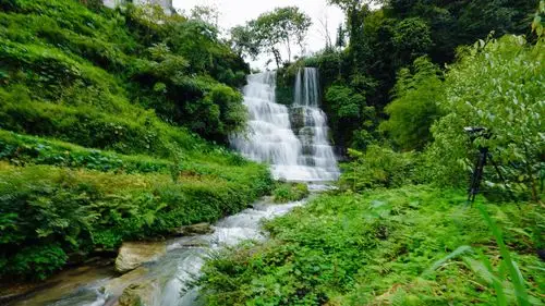 竹林深处有瀑布