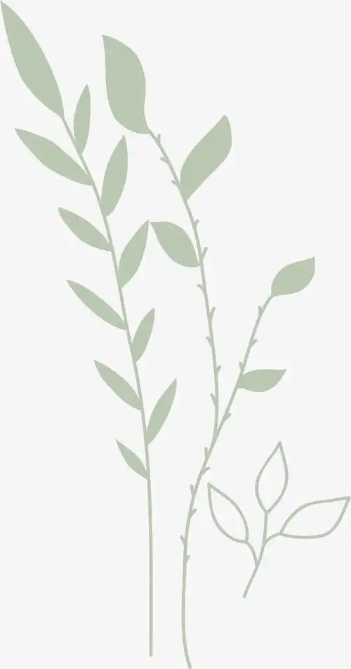 绿叶免抠素材免费下载_觅元素51yuansu.com