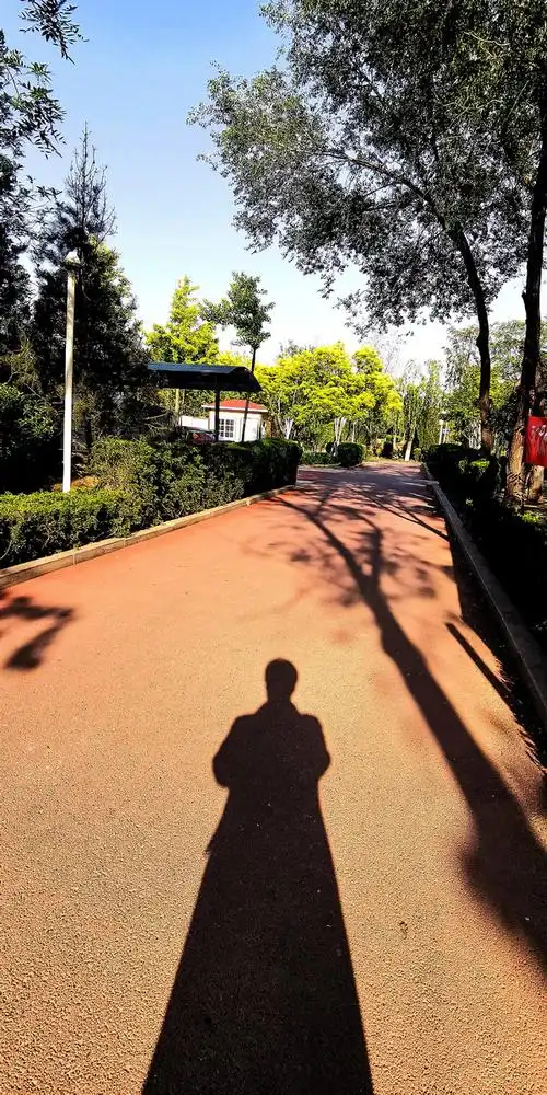 手机自拍之影子合集