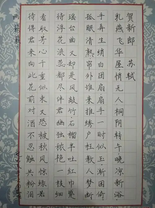 苏轼《贺新郎》手写钢笔字笔友钢笔书法习作欣赏