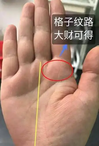 手相中格子纹在手富贵必有,米纹相左横财可得,荣华富贵异于常人