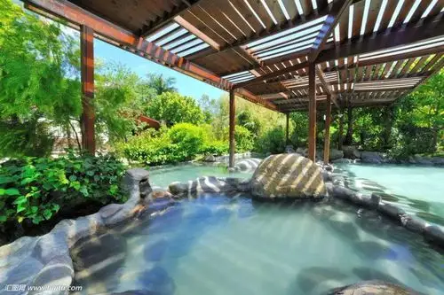 10月26日首发【最美秋天】随州千年银杏谷 汤池温泉度假村二日游 499