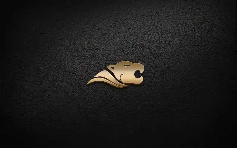 虎头 设计-2418号任务-4号作品-天下威客