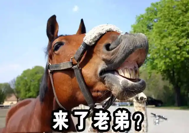 笑容逐渐狰狞. 这种翻起上唇露出牙齿的表情