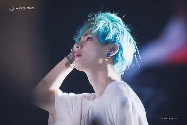 金泰亨 v 演唱会饭拍 - 堆糖,美图壁纸兴趣社区