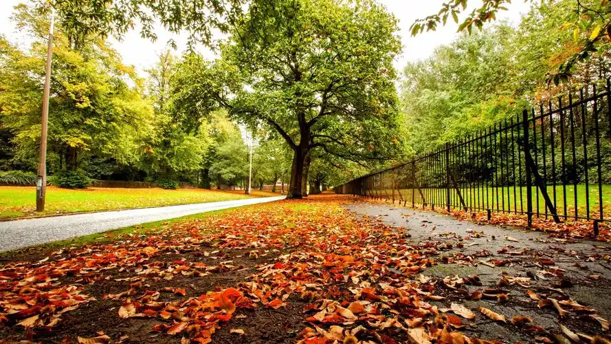 秋高气爽的唯美秋天风景图片大全电脑桌面壁纸下载高清大图预览1920x1