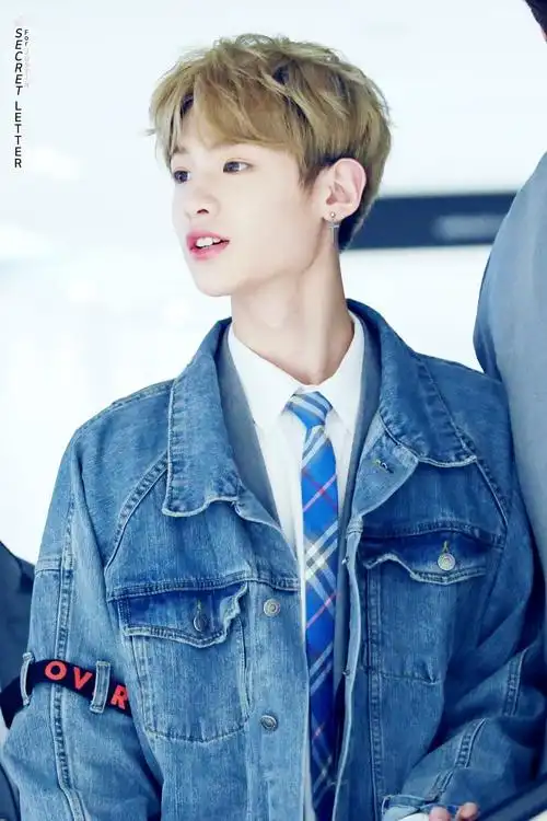 关注  justin黄明昊 贾富贵 甜斯汀 评论 收藏