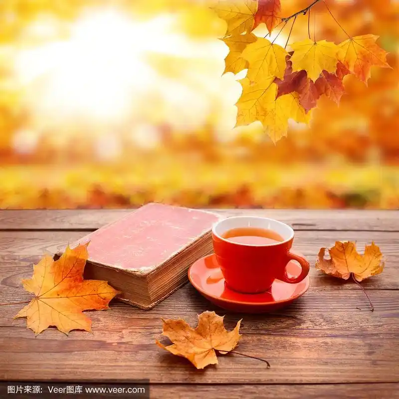 秋天的背景.秋天的叶子,书和一杯茶在公园的木桌上.
