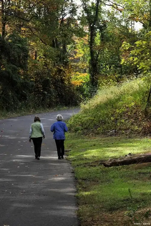 与徒步旅行:散步是中老年人最为简单,易于实践的运动方式之一.