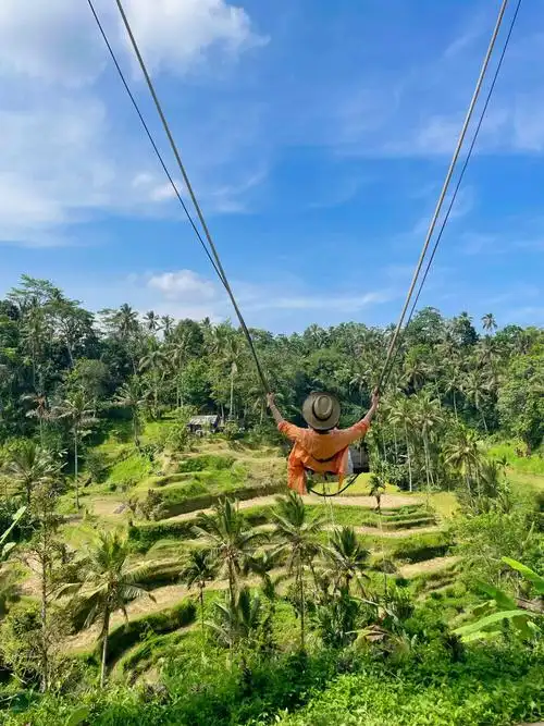 巴厘岛乌布梯田秋千